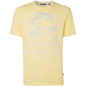 O'Neill LM ORIGINALS PRINT T-SHIRT  XXL - Pánske tričko