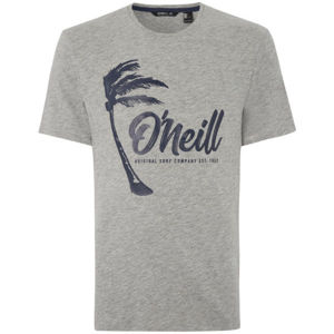 O'Neill LM PALM GRAPHIC T-SHIRT šedá L - Pánske tričko
