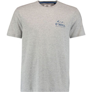 O'Neill LM ROCKY MOUNTAINS T-SHIRT sivá XL - Pánske tričko
