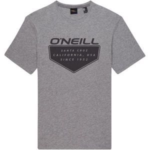 O'Neill LM ONEILL CRUZ T-SHIRT šedá L - Pánske tričko