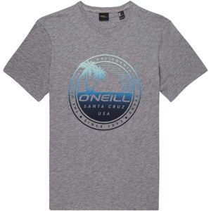 O'Neill LM PALM ISLAND  T-SHIRT šedá L - Pánske tričko