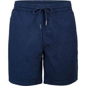 O'Neill BOARDWALK SHORTS Pánske šortky, modrá, veľkosť XL
