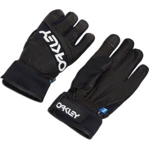 Oakley FACTORY WINTER GLOVES 2.0 Lyžiarske rukavice, čierna, veľkosť M
