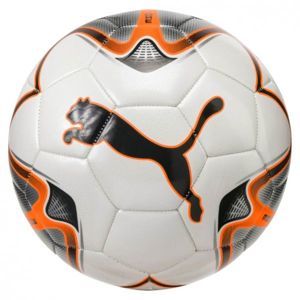 Puma ONE STAR BALL  5 - Futbalová lopta