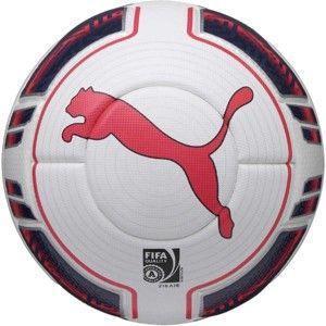 Puma EVOPOWER 1 STATEMENT - Futbalová lopta