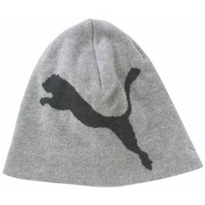 Puma BIG CAT BEANIE JNR sivá UNI - Juniorská zimná čiapka