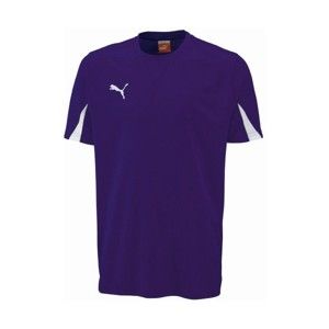 Puma SHIRTS SS TEAM fialová L - Športové  pánske tričko