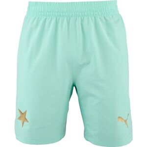 Puma SKS Shorts Promo Pánske futbalové šortky, tyrkysová, veľkosť S