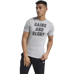 Reebok GS OPP TEE GRAPHIC Pánske tričko, sivá,čierna, veľkosť