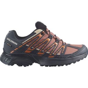 Salomon XT RECKON GTX W Dámska trailová obuv, hnedá, veľkosť 41 1/3