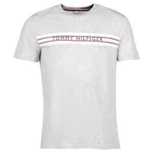 Tommy Hilfiger CLASSIC-CN SS TEE PRINT Pánske tričko, sivá, veľkosť L